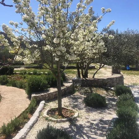 Villa Emari